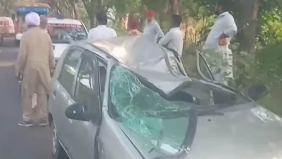 Accident in Bathinda Tree falls on car woman dies