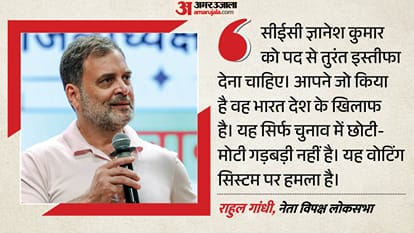 राहुल गांधी, नेता, कांग्रेस