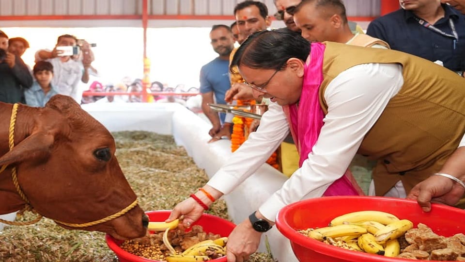 CM Pushkar Singh Dhami inaugurated a cowshed worth Rs 722 lakh in khatima