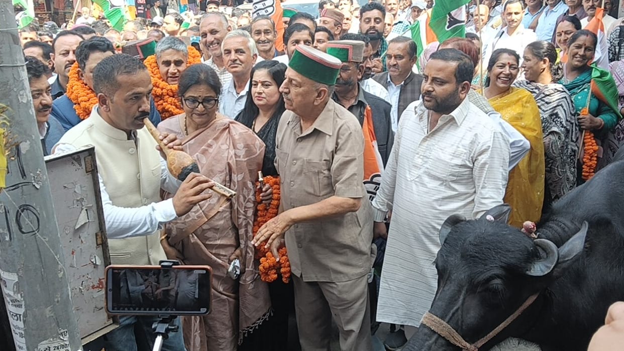 Politics: Congress stages protest in Solan by playing a flute before a buffalo; here are the details.