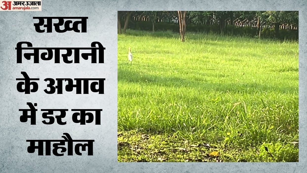 Safety audit of parks in Delhi: Several shortcomings