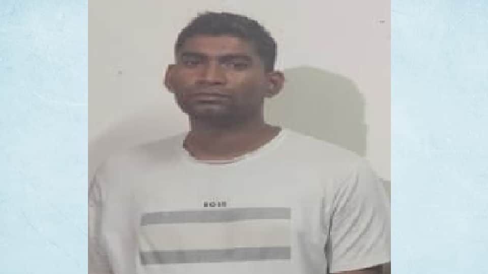Amroha Case: MLA Umesh Sharma lavish farmhouse spans 50 bighas; secret lies hidden within three luxury rooms