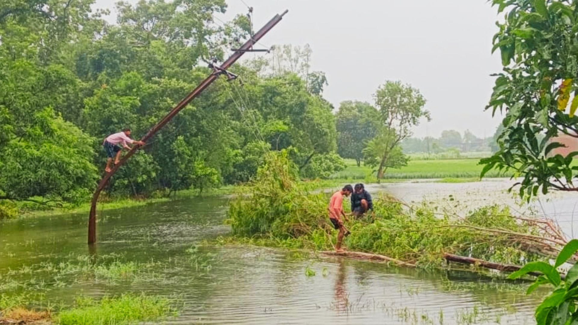 अतराैलिया में बिजली के पोल पर गिरे पेड़ को हटाते हुए।
