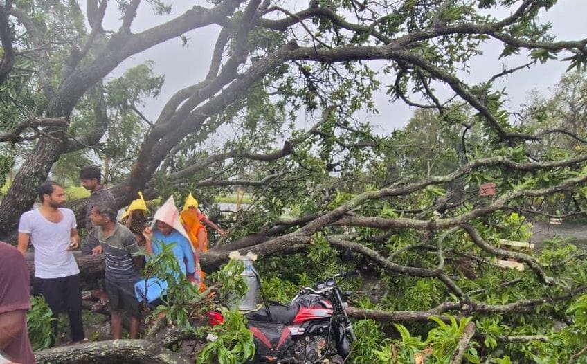 Rain Spells Disaster: Trees Fall on Roofs, Walls Collapse on Passersby; Three Dead, Eight Critically Injured