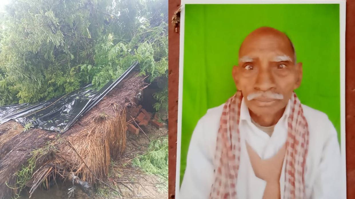 Rain Spells Disaster: Elderly Person, Milk Vendor, and Woman Die After Tree and Wall Collapse