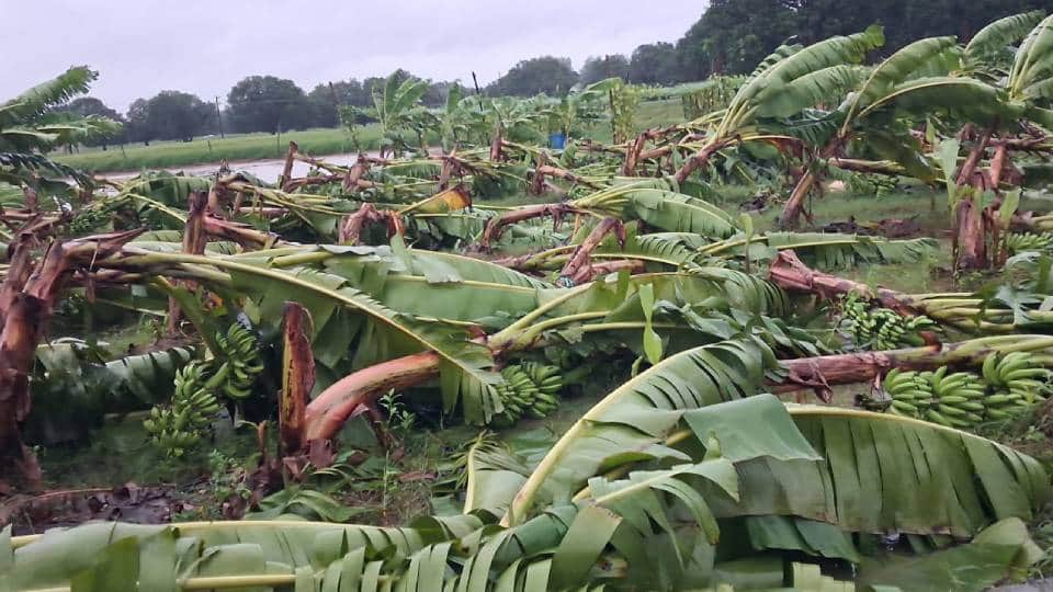 Amid continuous rainfall in UP 57 people died in various incidents high alert has been issued across state