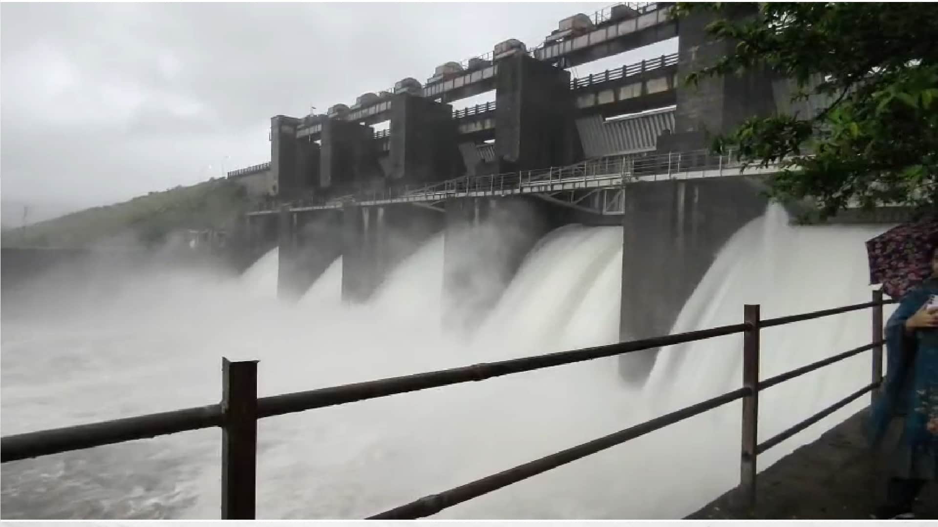 Cyclone wreaks havoc in Chhattisgarh: Traffic halted on several routes