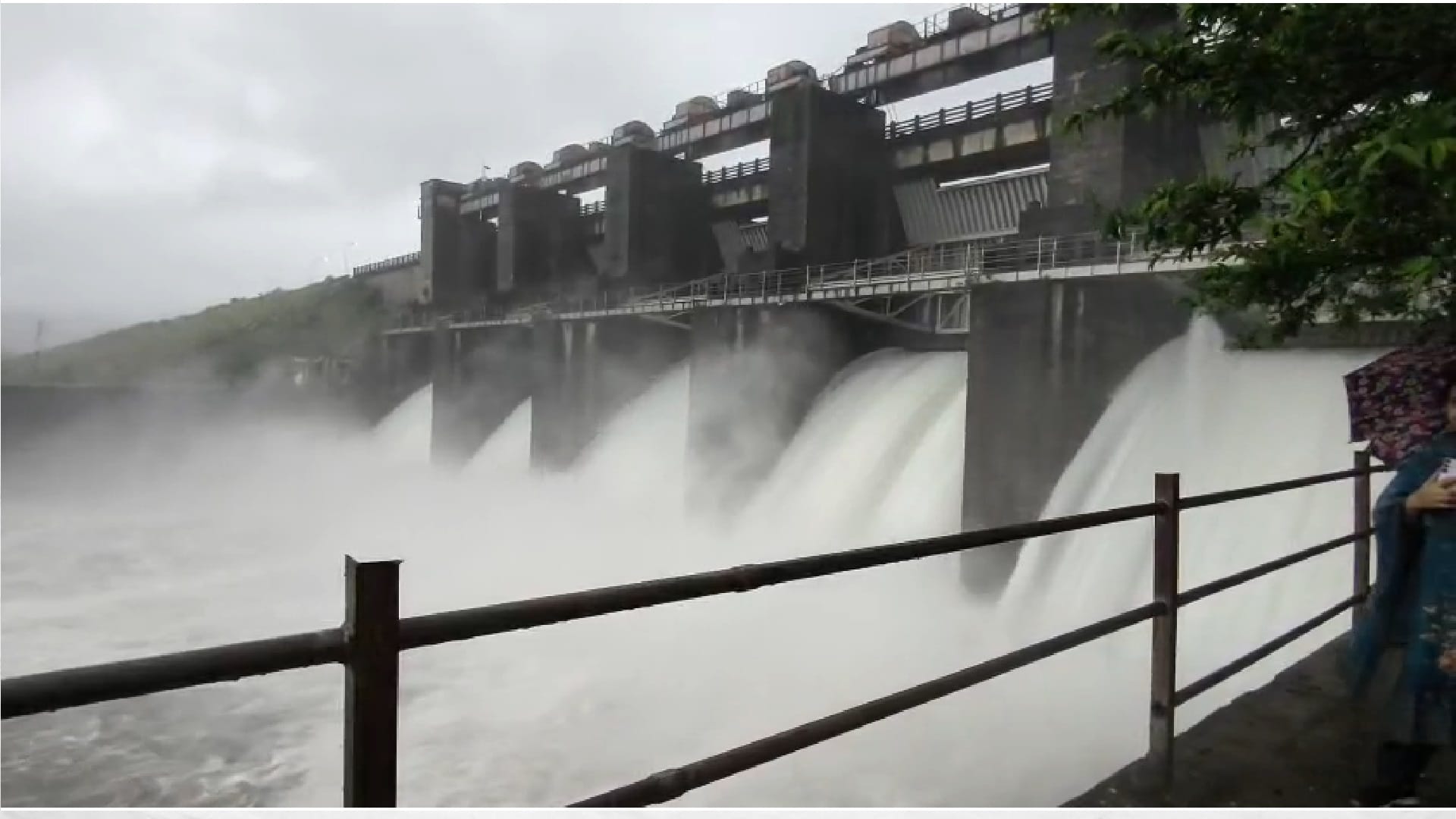 Cyclone wreaks havoc in Chhattisgarh: Traffic halted on several routes