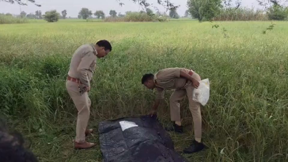 Body of unidentified young man found in roadside paddy field