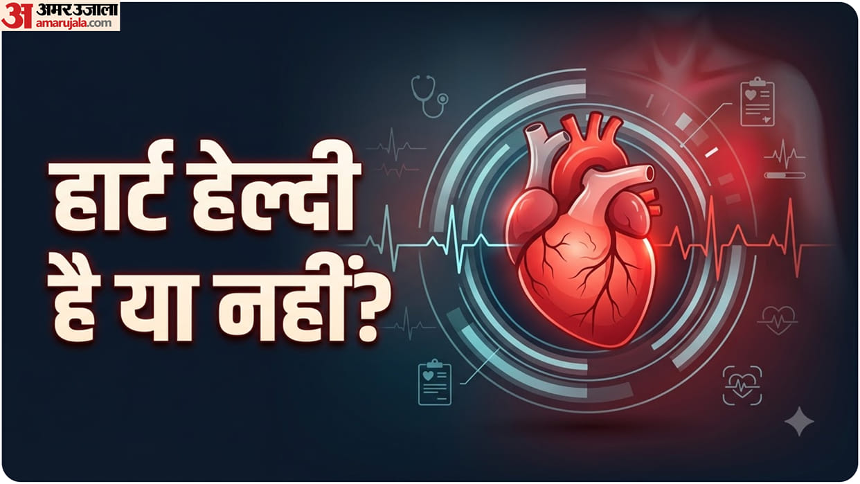What Tests Detect Heart Problems Beyond an ECG know Echo, Stress Test and Angiography