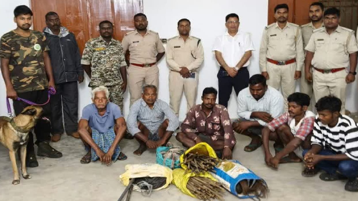 A 1.5 km live wire was laid for hunting, killing an elephant; 6 accused arrested within 18 hours.