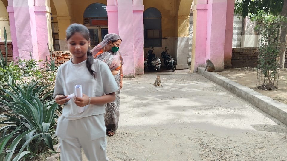 जिला अस्पताल में बंदरों का खौफ