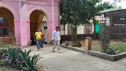 Monkey Menace at Agra District Hospital: Patients and Attendants Forced to Walk in Fear