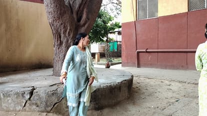 Monkey Menace at Agra District Hospital: Patients and Attendants Forced to Walk in Fear
