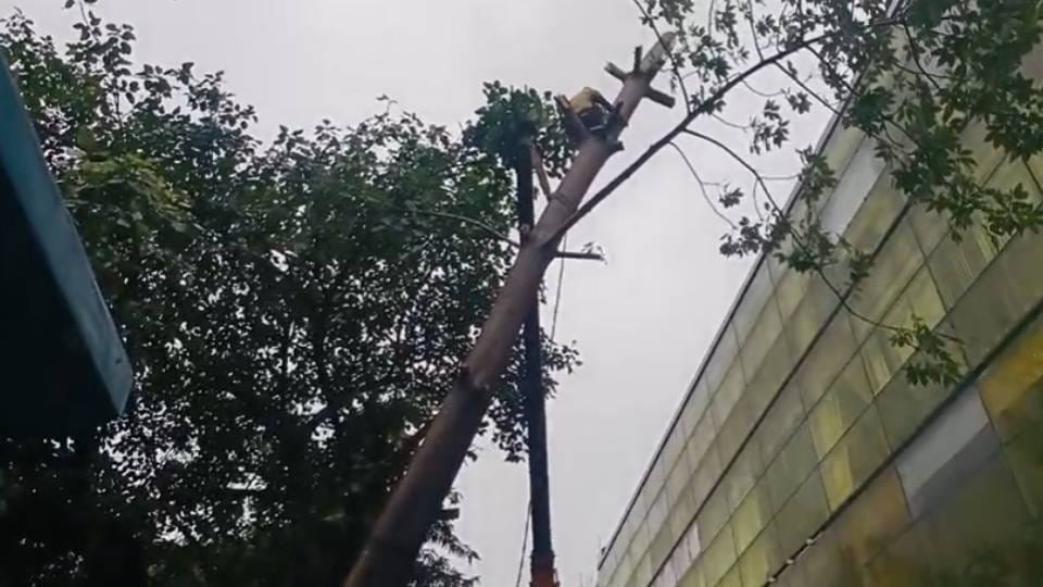 instructed to remain on alert to ensure uninterrupted power supply Amidst heavy rainfall in UP