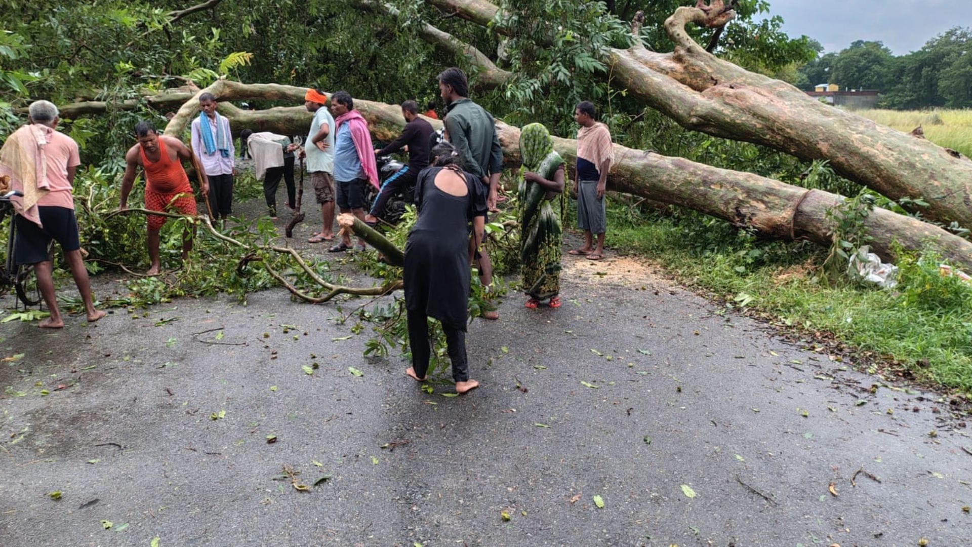 rainfall accompanied strong winds 115 electricity poles toppled trees fell three transformers