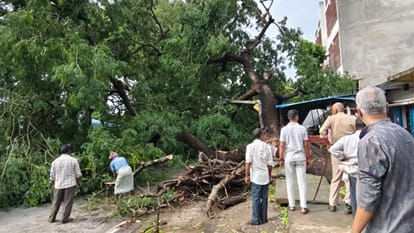 रास्ते में गिरे पेड़ को हटाने लोग।