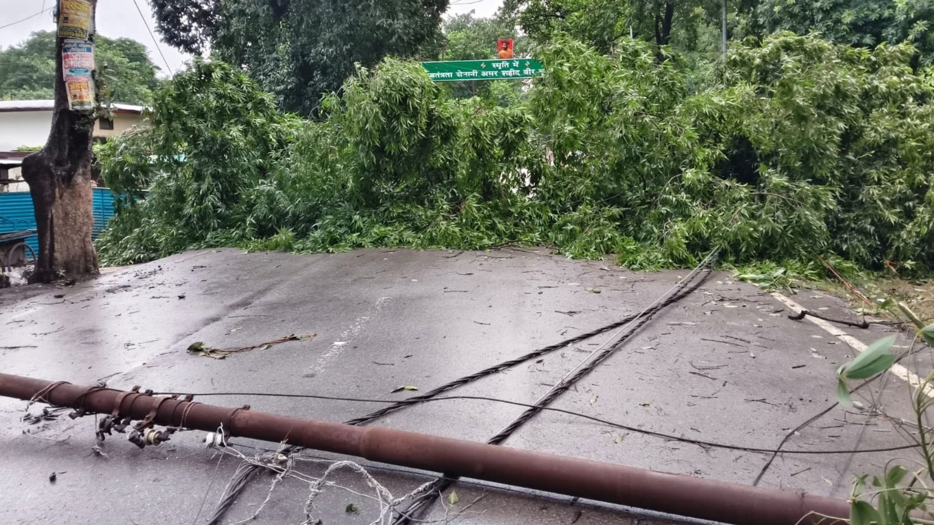 rainfall accompanied strong winds 115 electricity poles toppled trees fell three transformers