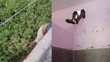 dead body of a man found stuck in ventilator of farmhouse in Modinagar