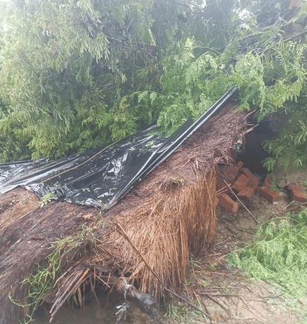 Rain kills many in Awadh area in Uttar pradesh.
