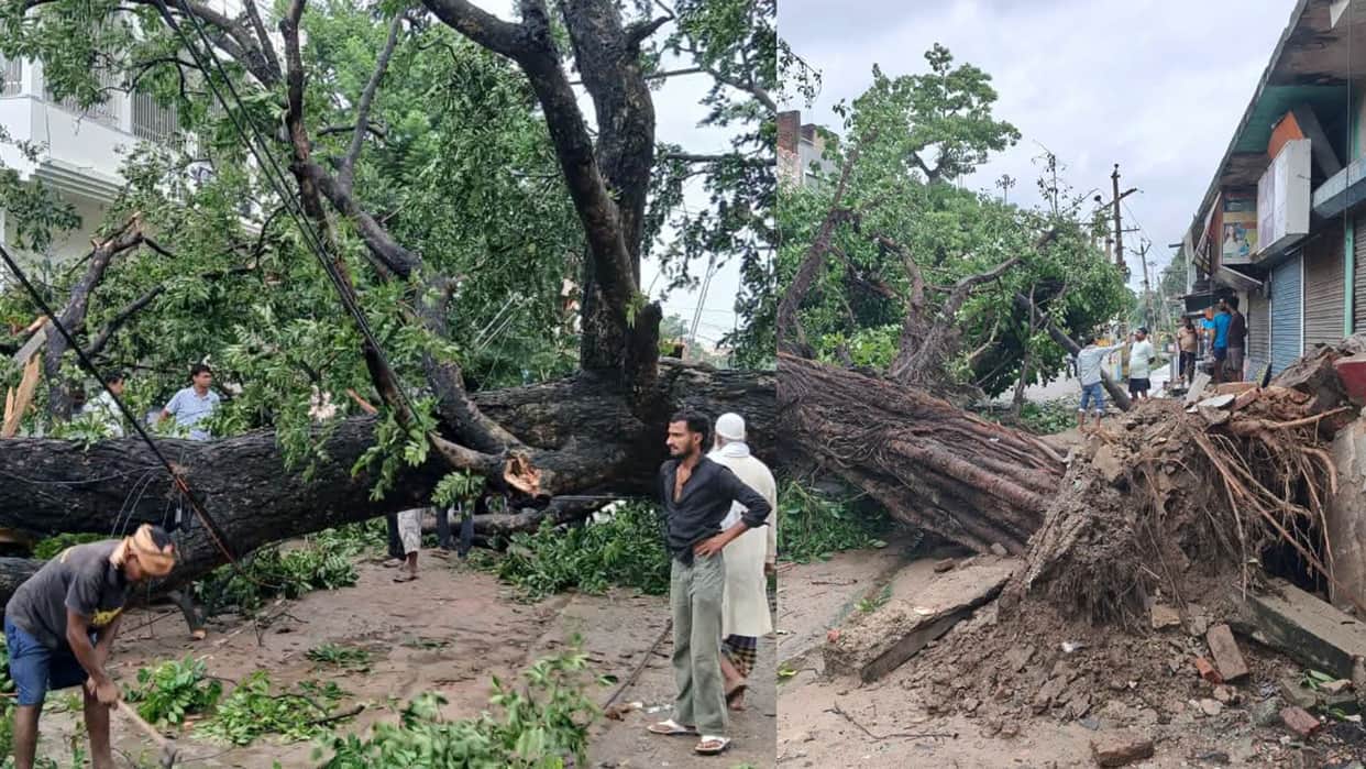 Buxar Storm Havoc Heavy Rains and Gusty Winds Uproot Trees Block Main Roads and Disrupt Power-Water Supply