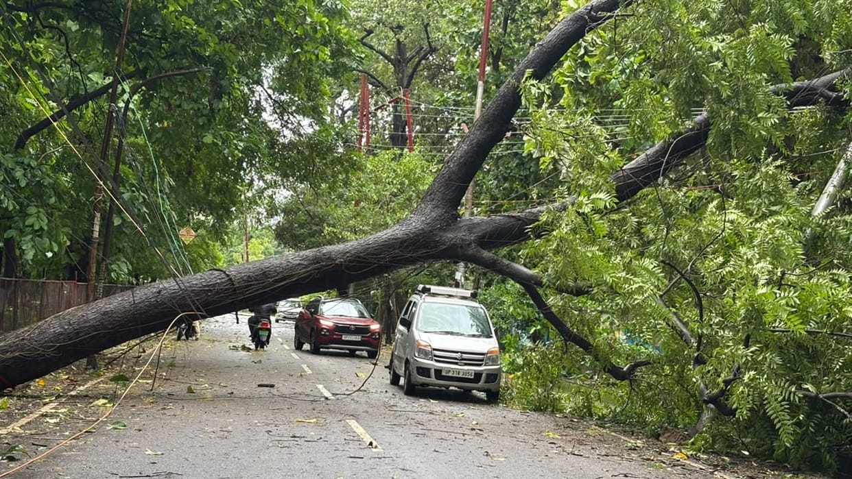 Rain and strong winds wreak havoc trees fall on power lines in Lakhimpur kheri