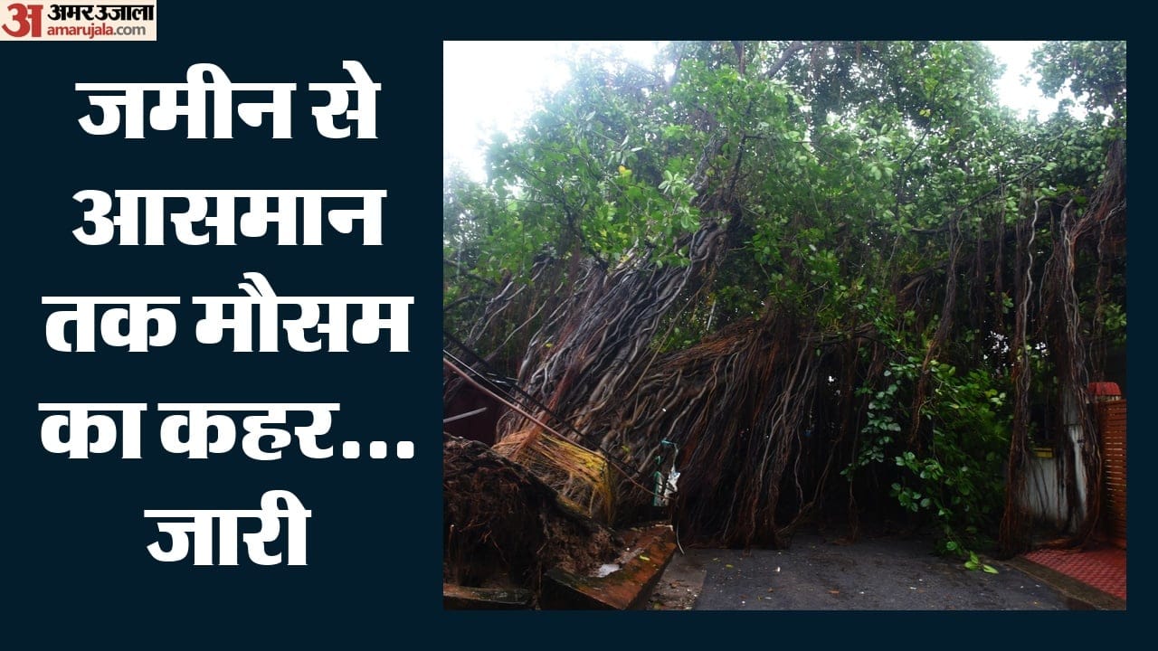 मुसीबत की एक तस्वीर...