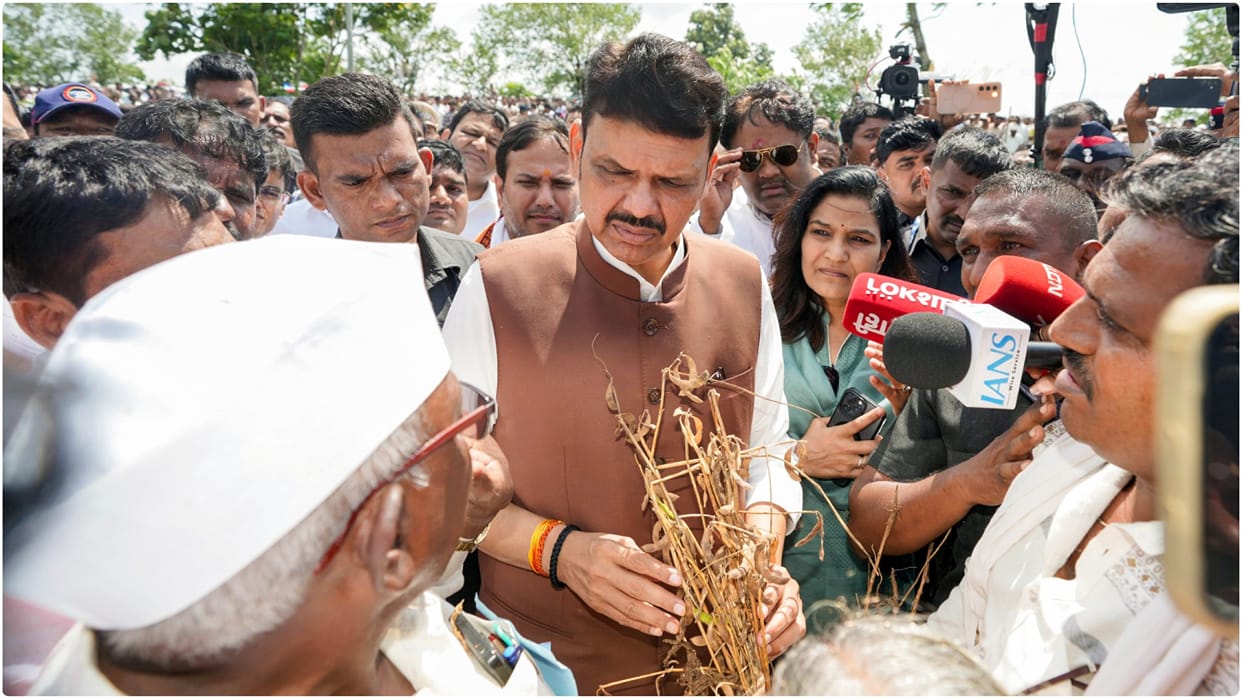 Drought crisis deepens in Maharashtra: Farmers gathering dried soybean stalks for fodder; politics over relief