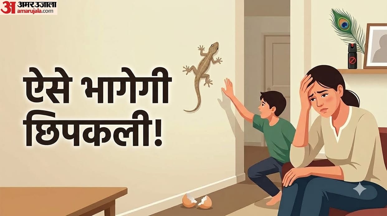 Ways to get rid of lizards Chipkali Ghar Se Kaise Bhagyein