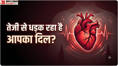 दिल की धड़कन
