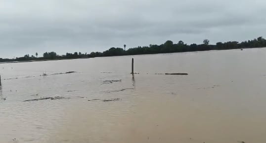 Havoc by Ishan River in Kanpur Water reach Dadhika village after 15 years crops across several acres submerged