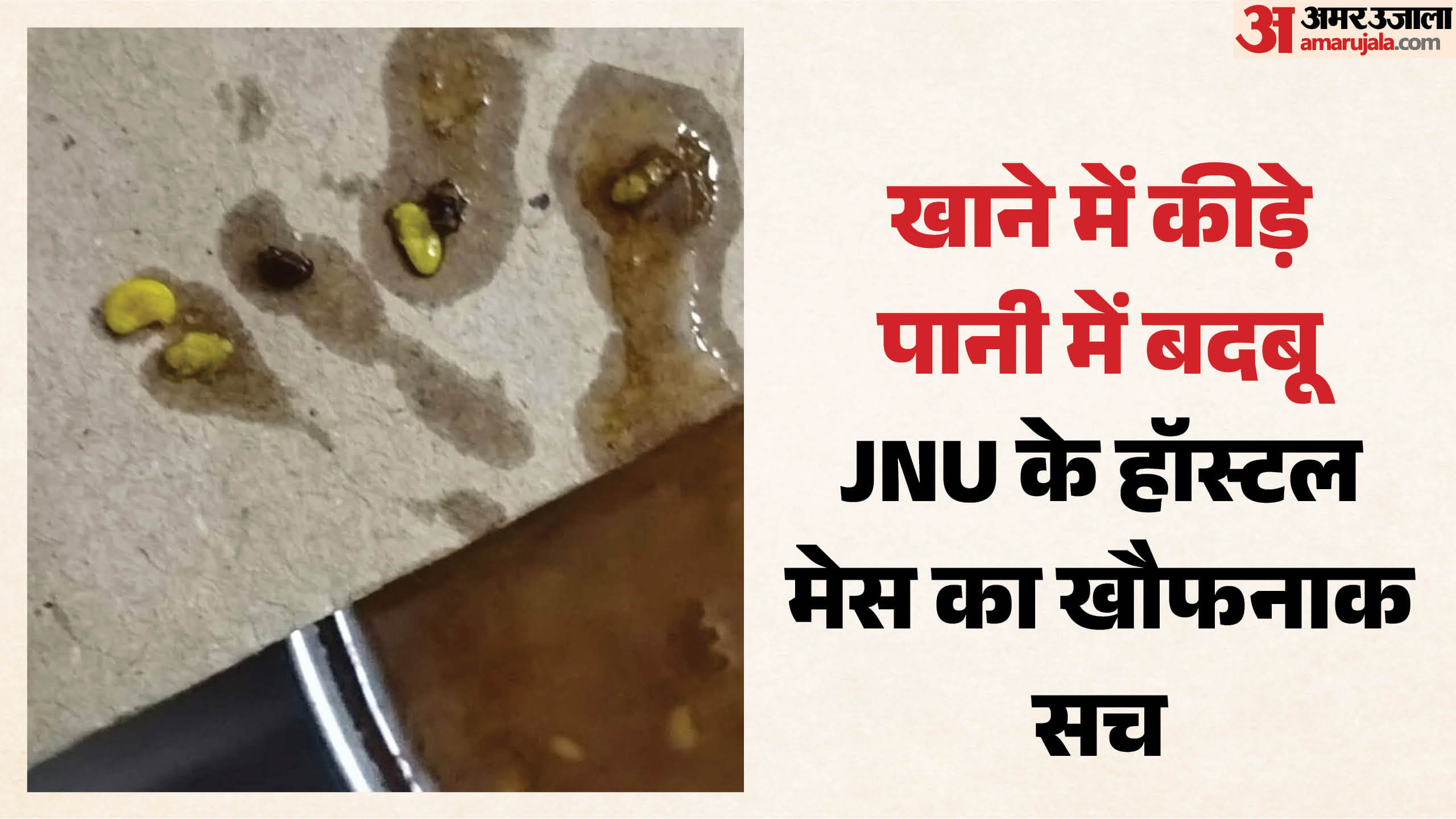 खाने में मिले कीड़े
