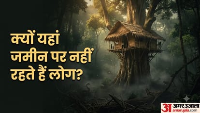 क्यों यहां जमीन पर नहीं रहते हैं लोग? 20 फीट ऊंचे पेड़ों पर घन बनाकर रहते हैं