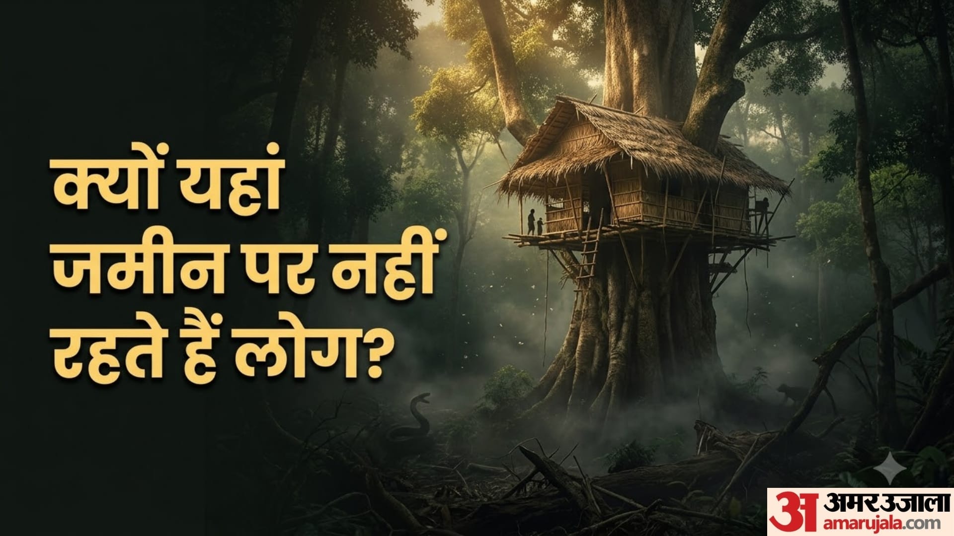 क्यों यहां जमीन पर नहीं रहते हैं लोग? 20 फीट ऊंचे पेड़ों पर घन बनाकर रहते हैं