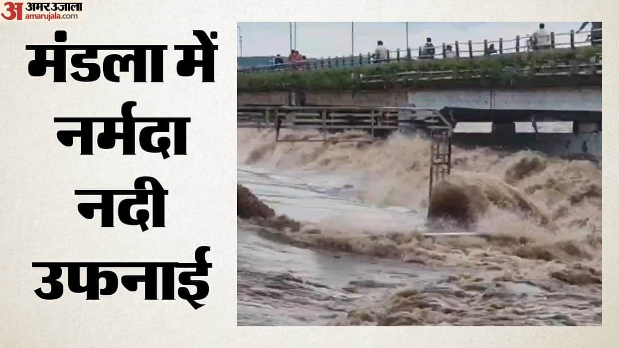 Narmada's furious form in Mandla, small Rapta bridge submerged
