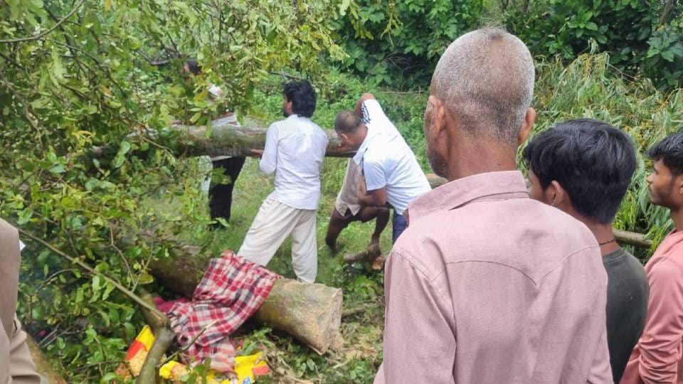 पेड़ काटकर महिला को निकालते लोग।