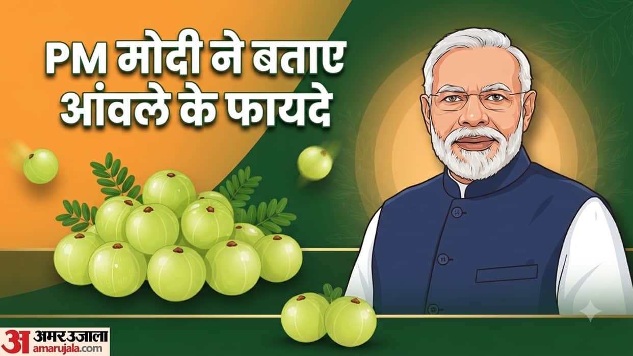 pm narendra modi explain the benefits of amla in mann ki baat