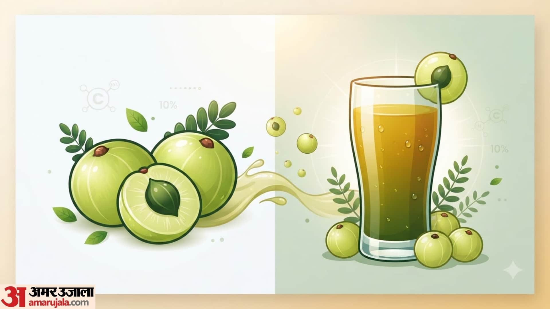 pm narendra modi explain the benefits of amla in mann ki baat