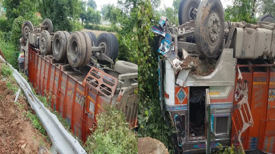 Chemical Truck Overturns Saving Cow