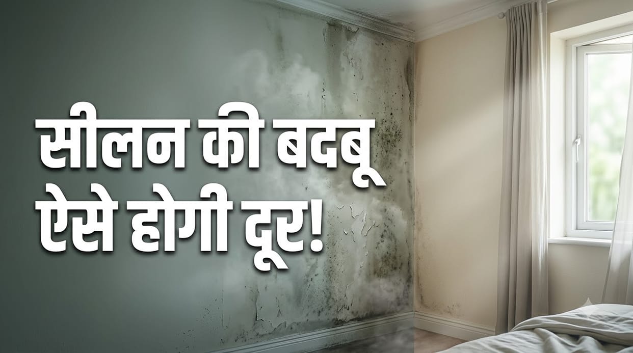 How To Remove Damp Smell From Your Room Silan ki badbu Kaise Dur Kare
