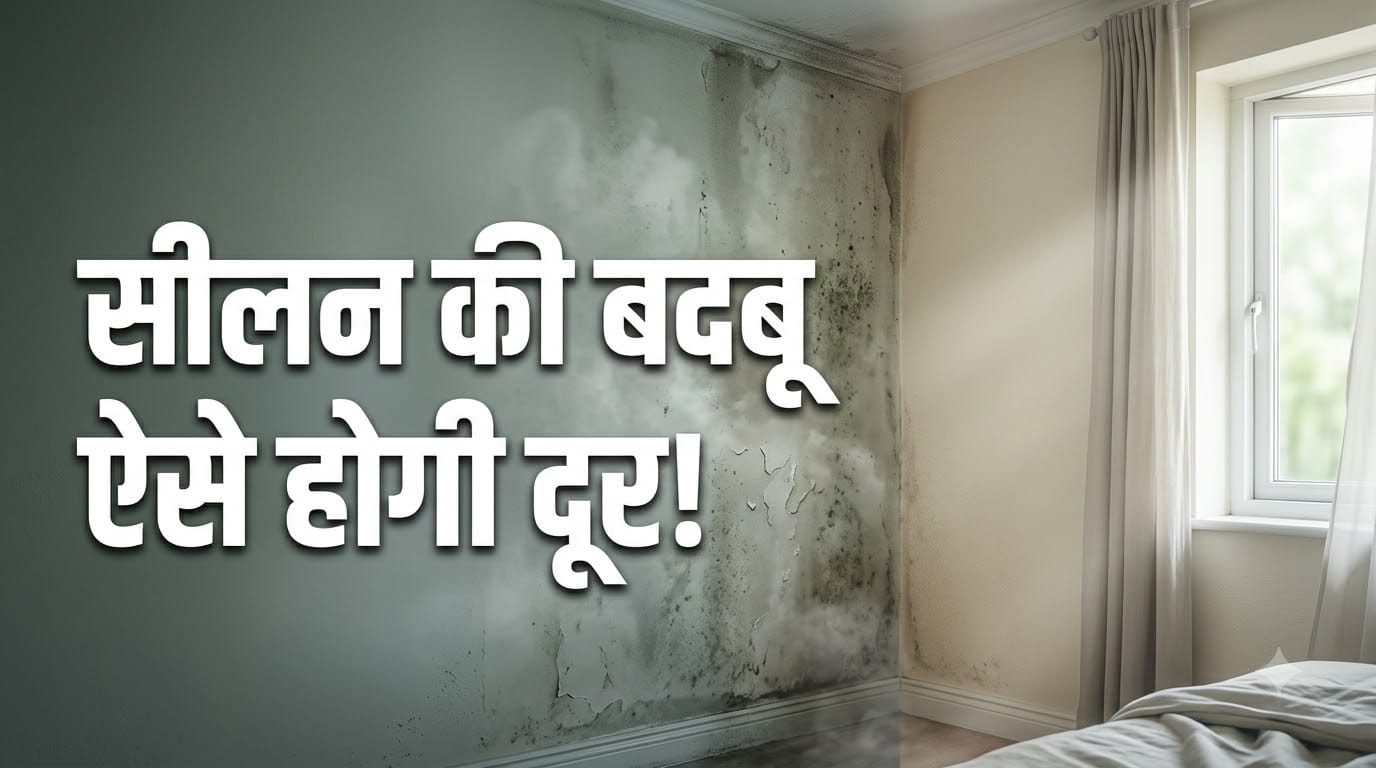 सीलन की बदबू कैसे दूर करें