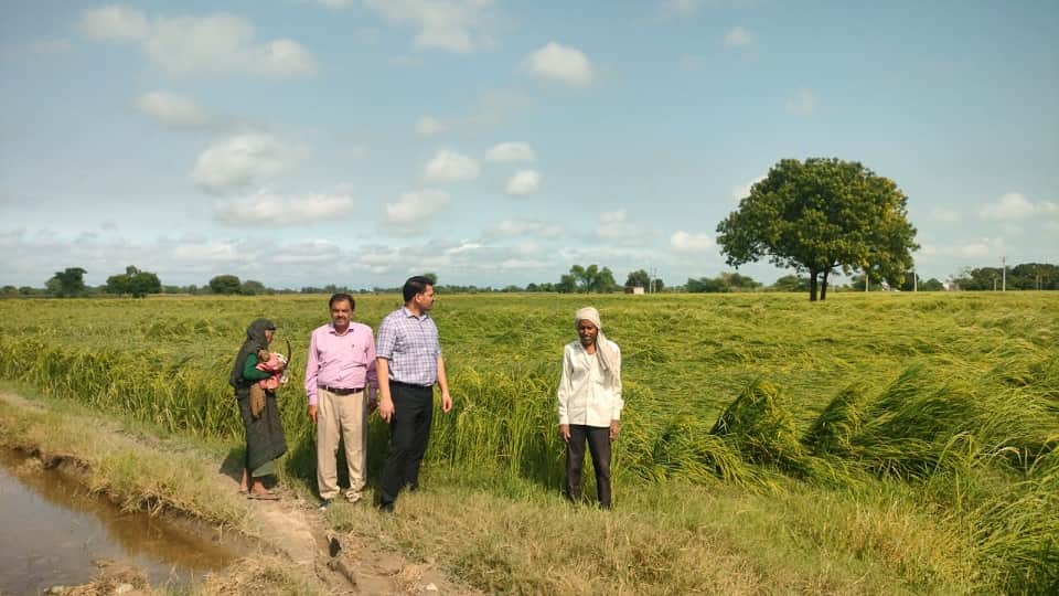 Revenue Teams Survey Crop Loss