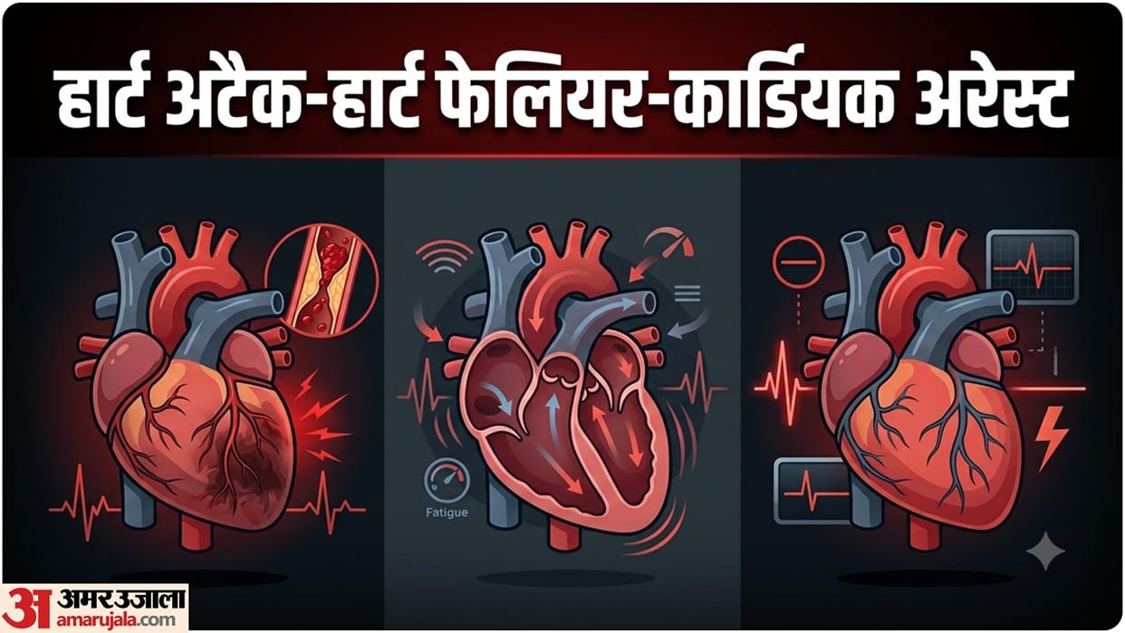 World heart day 2026 Heart Attack vs Heart Failure vs Cardiac Arrest Know the Difference