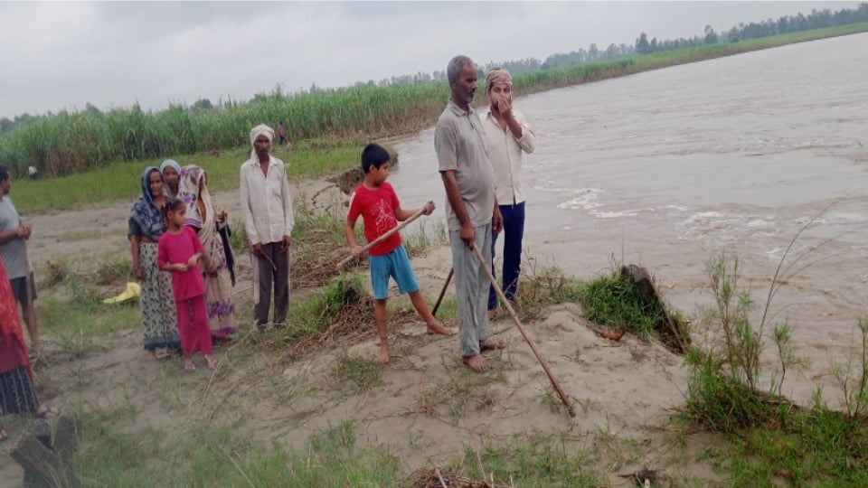 Bijnor: Water Level Rises in Kho River, Stud Collapses Near Ibrahimपुर Narayan; Water Moving Towards Village