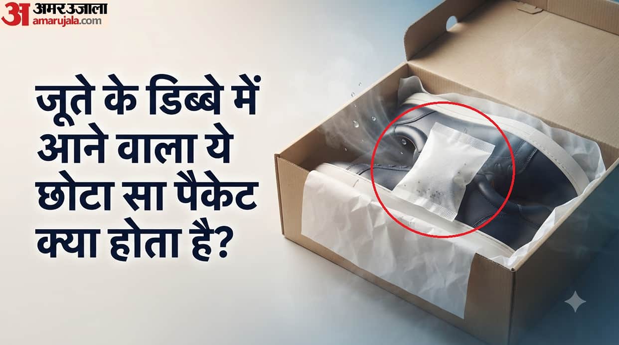 Why Is silica gel Packet Kept Inside New Shoe Boxes mein silica gel ka packet kyo aata hai