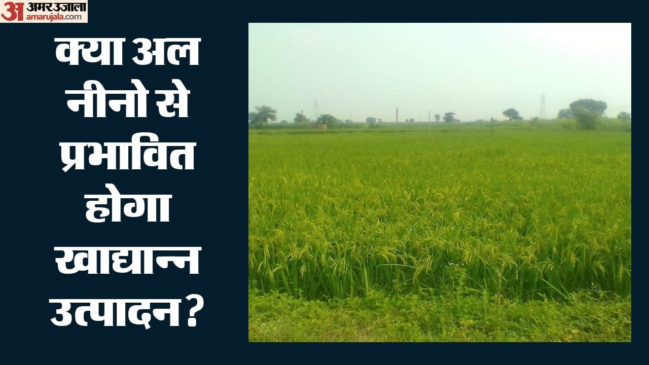 अल नीनो।