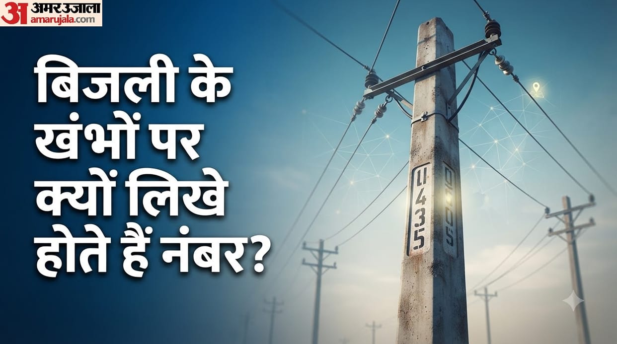Electricity Pole Numbers: Why They Matter During Complaints