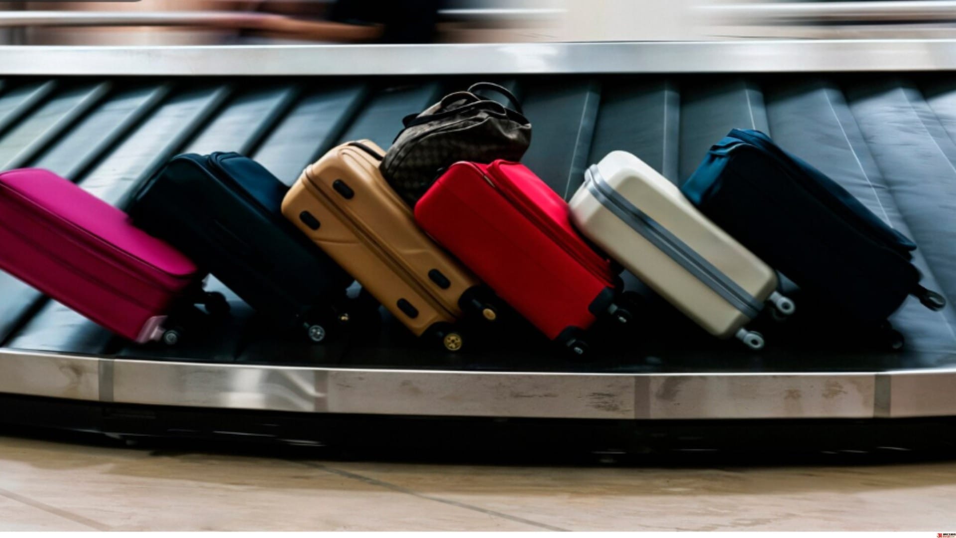 Bag Lost at Airport Know What to Note and How to File a Complaint