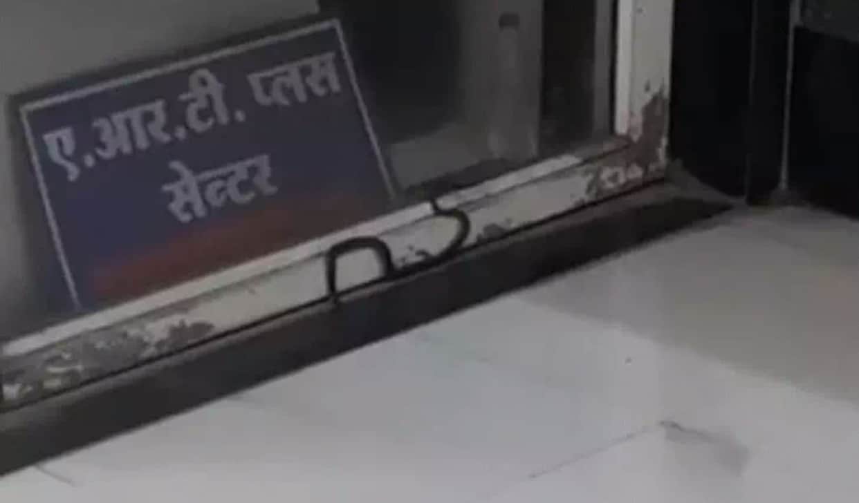 Indore: A snake entered the OPD of Indore's MY Hospital and remained perched near a window.