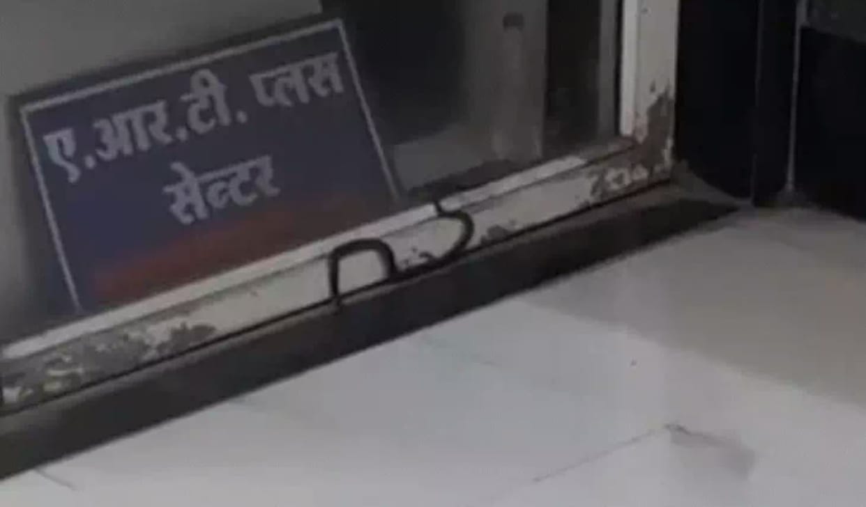 Indore: A snake entered the OPD of Indore's MY Hospital and remained perched near a window.